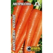 Морковь Королева Осени фото