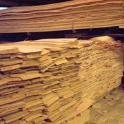 Шпон лущеный из осины фото