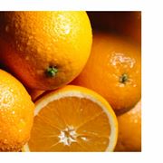 Пoставка aпельсинов (Египет) оптом фото