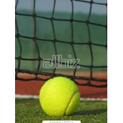 Услуги теннисных кортов фото