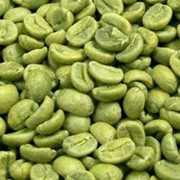 Зеленый кофе в зернах “Бразилия Сантос“ 100% Арабика фотография