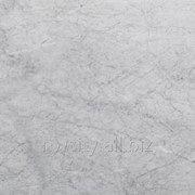 Мрамор Scorino серия Regular Bianco Carrara