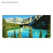 Картина- холст на подрамнике“Альпийская красота“ 33*70см фотография