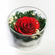 Роза в стекле tm NFP Cus-R1 фото