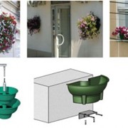 Вертикальное озеленение фото