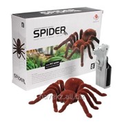 Интерактивный паук SPIDER на радиоуправлении Cute Sunlight фото