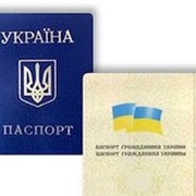 Оформим вид на жительство или гражданство Украины