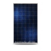 Солнечная панель Yingli YL250P-29b