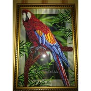 Картина вышитая бисером “Попугай“ фото