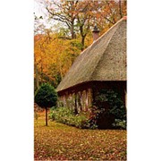 Гибкий настенный обогреватель Доброе тепло - Осенний пейзаж фотография