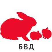 БВМД КМ КР-15% для кроликов и кролематок возрастом от 90 дней фотография