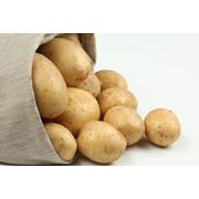 картофель от производителя