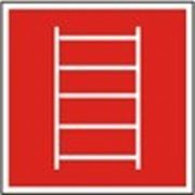 Знак безопасности «Пожарная лестница» фото