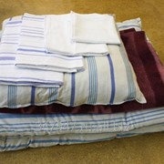 Постельный набор Эконом 2 (матрас, одеяло, подушка) фотография