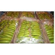 Зеленые бананы из Эквадора фотография