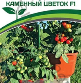 Томат Каменный Цветок Фото