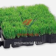Решетка для озеленения крыш Ecoraster Green E50 фотография