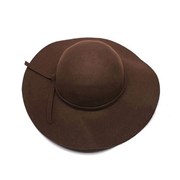 Широкополая шляпа (коричневая) фотография