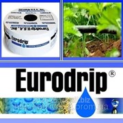 Капельная лента EuroDrip (Греция) фотография