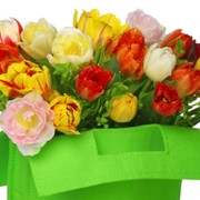 Тюльпаны зимой по оптовым ценам! Только от компании "Solo-Flowers"!!!!