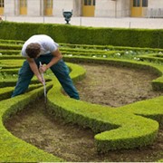 Услуги садовника в Молдове фото