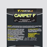 Жидкий высокопенный состав для очистки ковровых покрытий FORTELA CARPET - F фотография