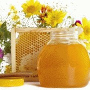Мед цветочный купить, купить в Днепропетровске, купить по Украине