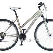 Велосипед Linea 2015 фото