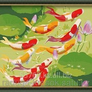 Картина стразами 9 рыб - символ благополучия 40х50 см фотография