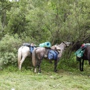 Тур Пять дней конного похода - самый легкий и короткий тур фотография