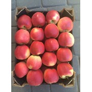 Яблоки польские  фото