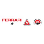 Носители Ferrari для печати экосольвентными сольвентными и УФ-чернилами фото