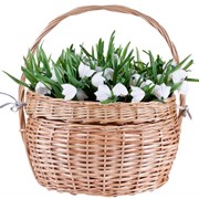 Корзинка с подснежниками 12 месяцев большая фото