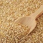 Пшено и крупы пшеничные на Экспорт, товар от производителя