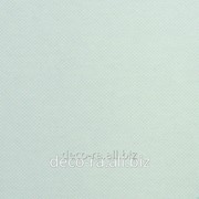 Рулонные шторы Мини Thermo blocker b / o Grau 40 см фото