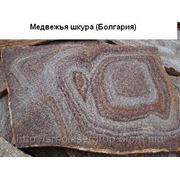 Сланец Болгарии «медвежья шкура» природной формы фото