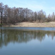 Дачный участок в лесу возле озера в Подмосковье