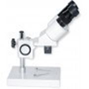 Бинокулярный микроскоп XTX-2A (10x; 2x) фото