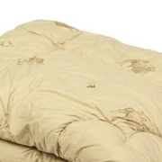 Евро одеяло бежевое 200?220 см фото