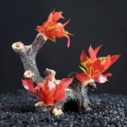 Декор для аквариума “Коряга“ с растениями, 15 х 7 х 16,5 см фото