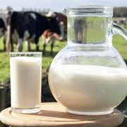 Молоко повышенной жирности (4,5%)