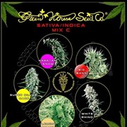 Семена конопли Sativa Indica Mix C фото