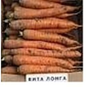 Семена моркови Вита Лонга фото