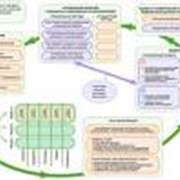 Оптимизация бизнес-процессов, Оптимизация инвестиционных и эксплуатационных финансовых потоков фото