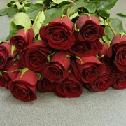 Букет из красных роз фото