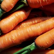 Морковь, продажа, Украина