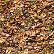 Скорлупа кедрового ореха, 2л фото