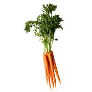 Морковка ранняя,купить ранняя морковь, морковь свежая
