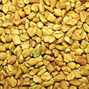 Фенугрек (Пажитник) / Fenu greek seeds (Sahul) 100 грамм. фото