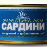 Сардины в масле: САРДИНЫ натуральные с добавлением масла, ж/б №5, ТМ Жемчужина моря фото